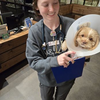 Creekside Pet Care Center - After surgery - Veterinarians Near Me - Keller, Texas
