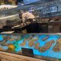Caviar House And Prunier Seafood Bar - 1