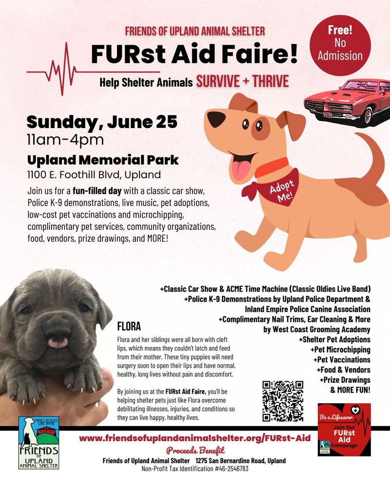 UPLAND ANIMAL SHELTER Updated September 2024 88 Photos & 128