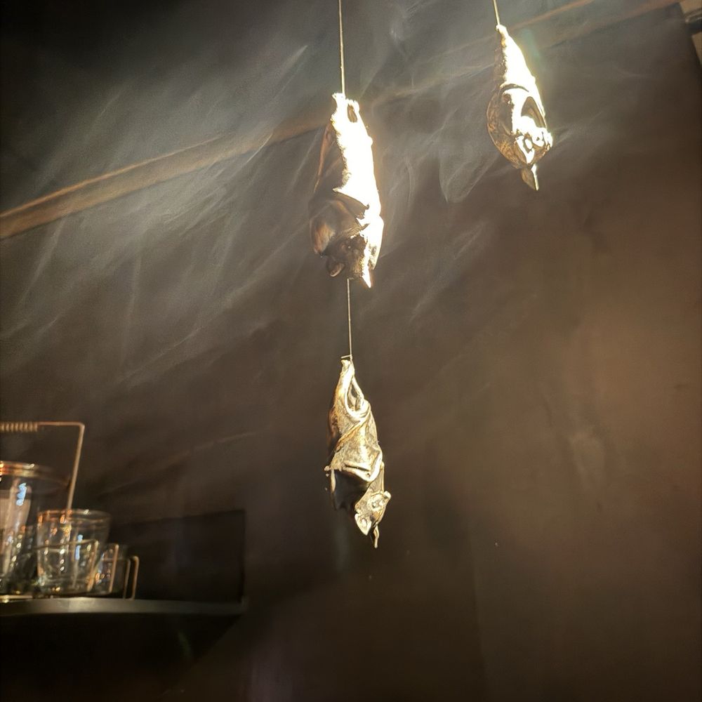 Ticuchi - Bats in front. - Mexican Near Me - Ciudad de México, DIF