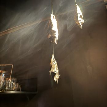 Ticuchi - Bats in front. - Mexican Near Me - Ciudad de México, DIF