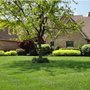 Photo of WD Giampa Lawn and Landscapes
