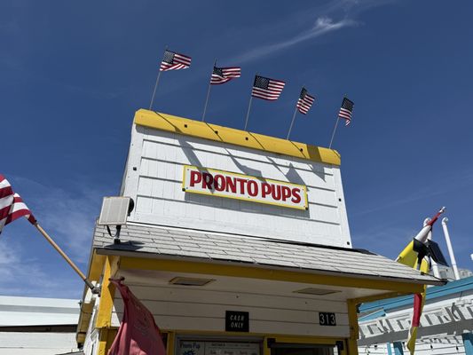 Pronto Pups by null