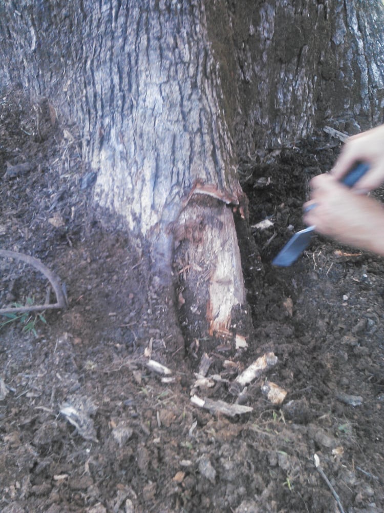 Slide of Fortner Construction and Tree Service