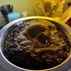 Buffalo Coffee Roastery