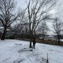 Photo of King Landscape