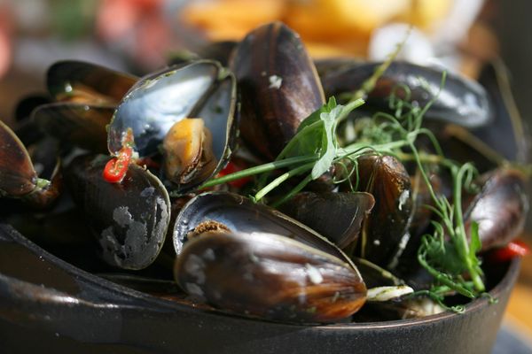 Skagen Fiskerestaurant by null