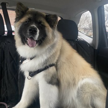 Bark N' Bubbles - Pet Groomers Near Me - Leesburg, Virginia