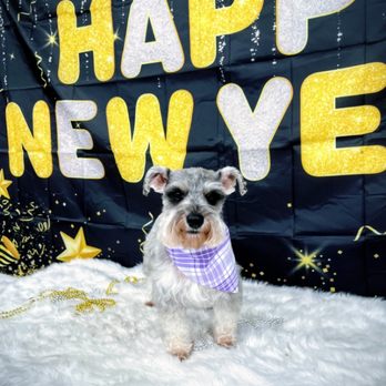 Dog Gone Classy - Pet Boarding Near Me - Columbia, Kentucky Dog Gone Classy - Pet Boarding Near Me - Columbia, Kentucky