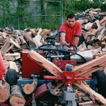 Edwards and Sons Tree Service - a group of men working on a pile of wood - Tree Services Near Me Edwards and Sons Tree Service - a group of men working on a pile of wood - Tree Services Near Me