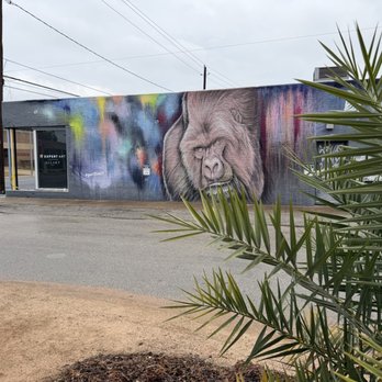 Catalina Coffee - Coffee & Tea Near Me - Houston, Texas