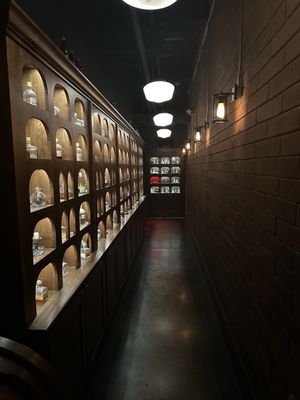 The White Rabbit by null