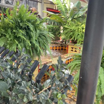 Pappasito's Cantina - Patio - Tex-Mex Near Me - Houston, Texas