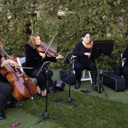 Eliana Strings - Photo by photoqueststudio