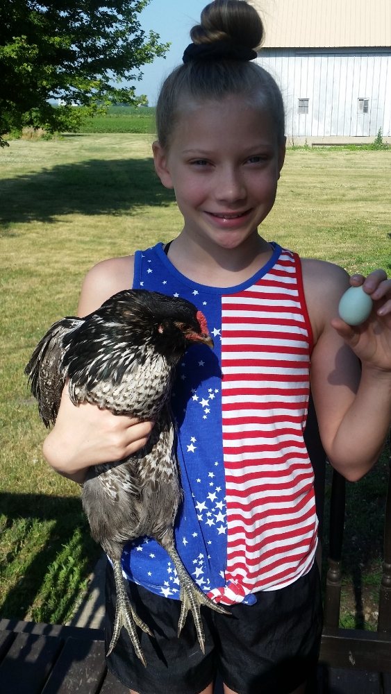 Abbi's Farm Fresh Eggs Logo