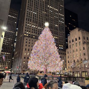 Rockefeller Center Christmas Tree - Christmas Trees Near Me - New York, New York Rockefeller Center Christmas Tree - Christmas Trees Near Me - New York, New York