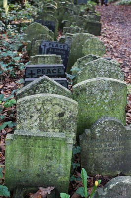 Abney Park Cemetery Trust by null