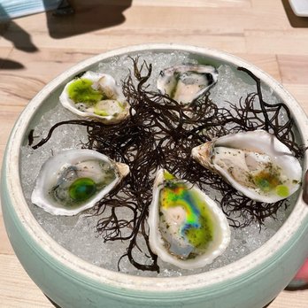 Miro Kaimuki - Raw oysters - Asian Fusion Near Me - Honolulu, Hawaii Miro Kaimuki - Raw oysters - Asian Fusion Near Me - Honolulu, Hawaii