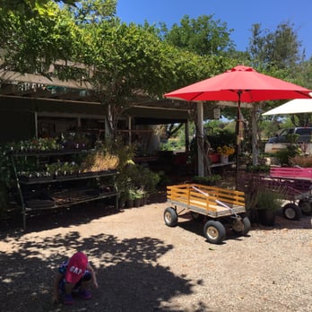 Summerset Farm - Fruit stand - Farmers Market Near Me - Santa Ynez, California Summerset Farm - Fruit stand - Farmers Market Near Me - Santa Ynez, California