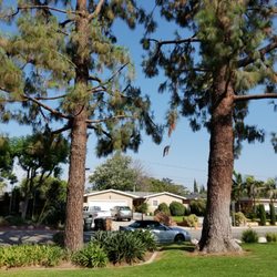 Gutosky Park