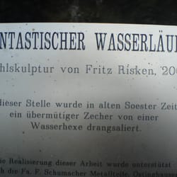 Der Wasserläufer