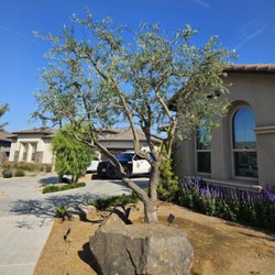 Nice Image Landscaping