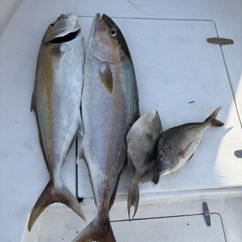 Adrenaline Rush Charters - Amber Jack - Fishing Near Me - Jupiter, Florida Adrenaline Rush Charters - Amber Jack - Fishing Near Me - Jupiter, Florida