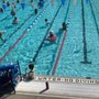 Photo of Swim with Heart