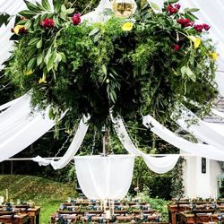 Frank's Wholesale Florists