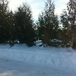 Gifford's Bobcat & Tree Farm