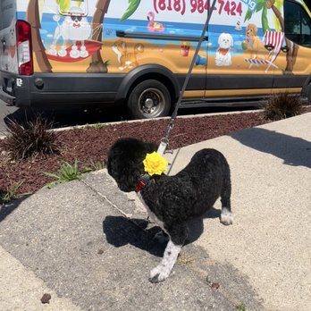 Breezy Paw Mobile Grooming - Pet Groomers Near Me Breezy Paw Mobile Grooming - Pet Groomers Near Me
