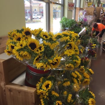 Trader Joe's - Pretty :) - Grocery Near Me - Winter Park, Florida Trader Joe's - Pretty :) - Grocery Near Me - Winter Park, Florida