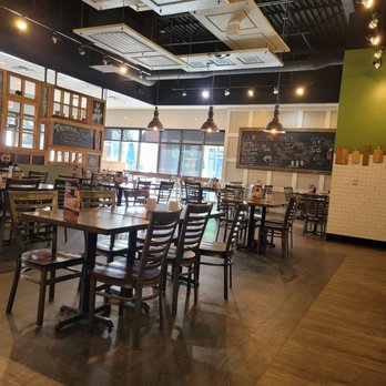 First Watch - Dining room from the booths - Cafes Near Me - Largo, Florida First Watch - Dining room from the booths - Cafes Near Me - Largo, Florida