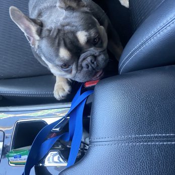 Amazing Small Animal Practice - JAXX - Veterinarians Near Me - Gardena, California
