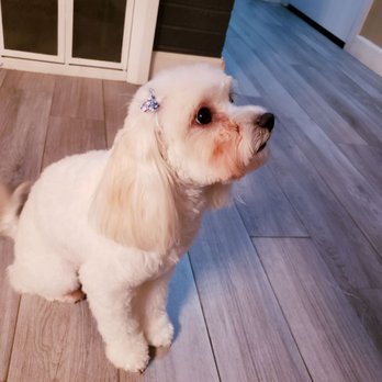 Woof Wash - Pet Groomers Near Me - La Quinta, California Woof Wash - Pet Groomers Near Me - La Quinta, California