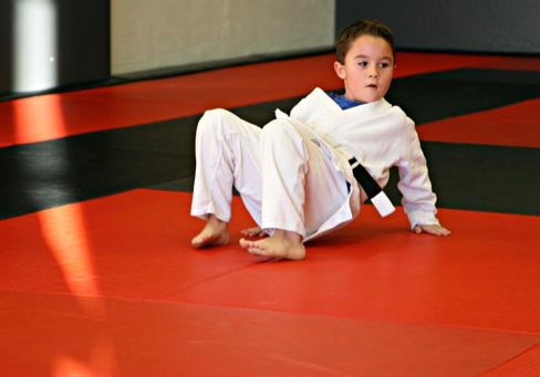 Gracie Jiu-Jitsu Phoenix Logo