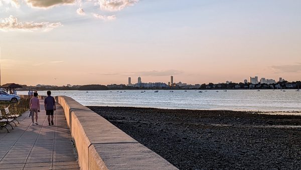 Wollaston Beach by null