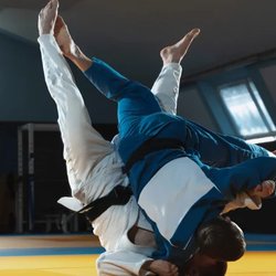 Sol BJJ
