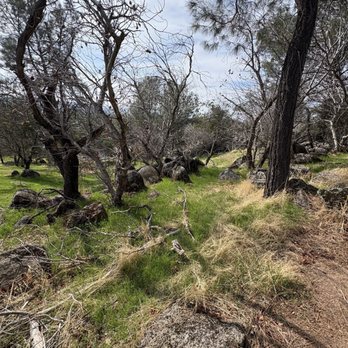 Griffith Quarry Park - Looking forward to seeing this place again, it's really nice up here. Good paths for walking, and clean. - Parks Near Me - Penryn, California Griffith Quarry Park - Looking forward to seeing this place again, it's really nice up here. Good paths for walking, and clean. - Parks Near Me - Penryn, California