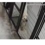 Photo of Puppy Manor