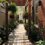 City Plants
