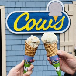 COWS - Cownadian maple and cowconut cream pie (CAD $5.48/ea)