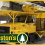 Photo of Marstons Tree Service