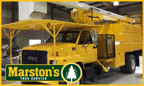 Marstons Tree Service - tree service in Naples, ME