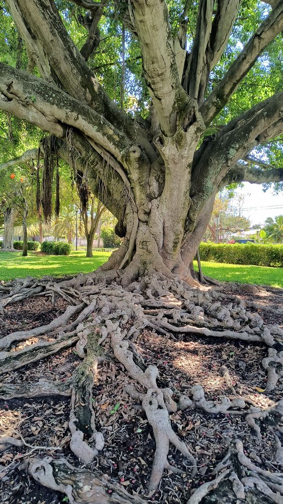 Fisher Park Image