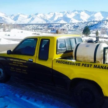 Progressive Pest Management - Pest Control Near Me - Elko, Nevada