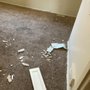 Photo of LadyBee's Cleaning Service