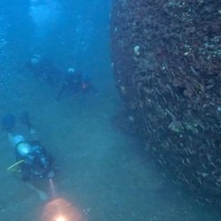 Big Blue Dive Boat - Diving