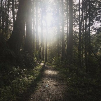 Forest Park - Parks Near Me - Portland, Oregon