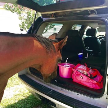 Brannon Stables - Horseback Riding Near Me - Lexington, Kentucky